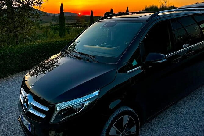 Rome Hotel to Fiumicino FCO Airport: Private Transfer - Who Should Consider This Service?