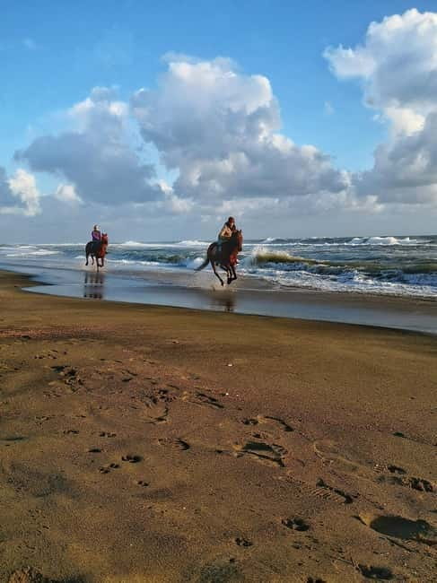 Rome on Horseback : Ancient Ostia & the beach with Aperitif - Key points / Takeaways