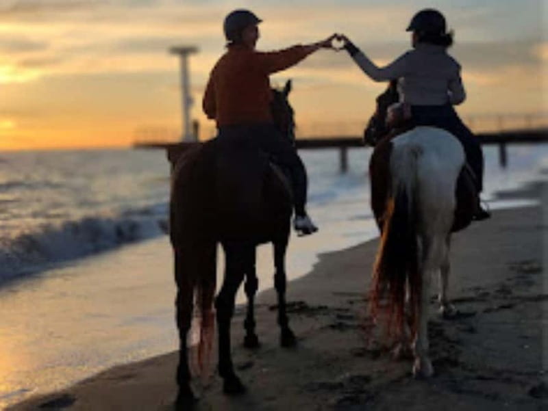Rome on Horseback : Ancient Ostia & the beach with Aperitif - Discovering the Experience: A Horseback Journey into Italy’s Ancient & Natural Beauty