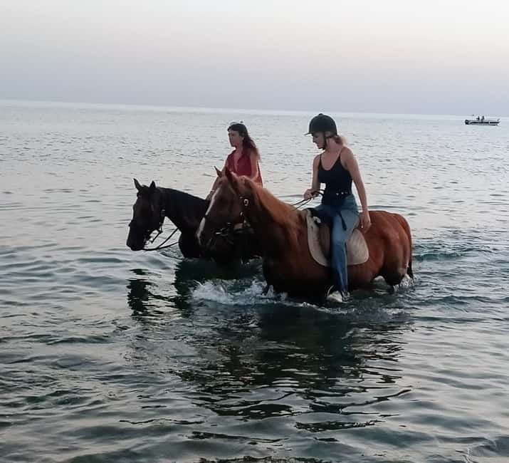 Rome on Horseback : Ancient Ostia & the beach with Aperitif - Who Will Love This Tour?