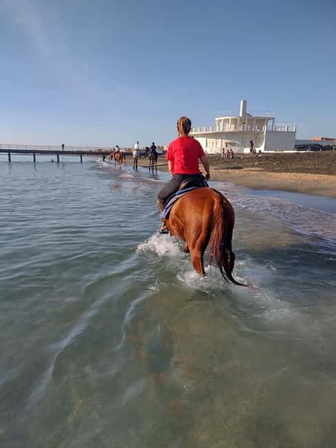 Rome on Horseback : Ancient Ostia & the beach with Aperitif - What You’ll Need to Bring