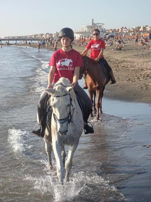 Rome on Horseback : Ancient Ostia & the beach with Aperitif - Final Thoughts: Who Will Find Value Here?