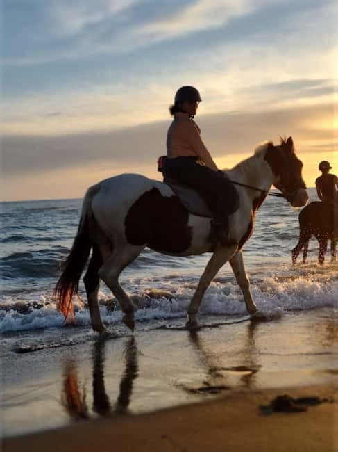 Rome on Horseback : Ancient Ostia & the beach with Aperitif - FAQ