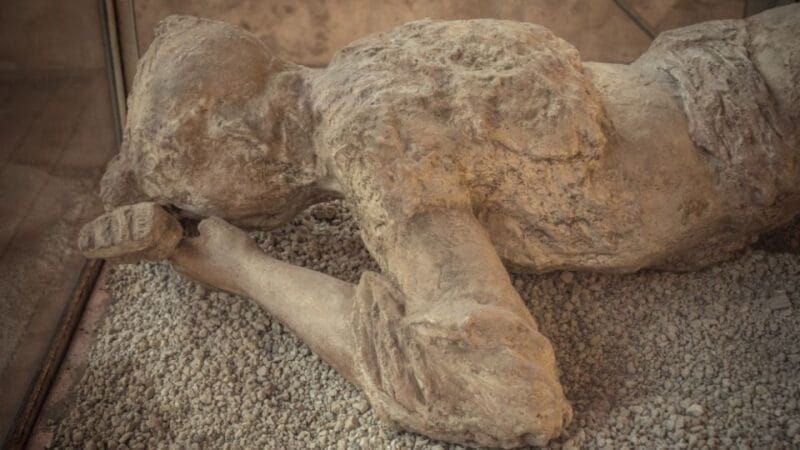 Rome: Pompeii Tour with Wine and Lunch by High Speed Train - Key points / Takeaways