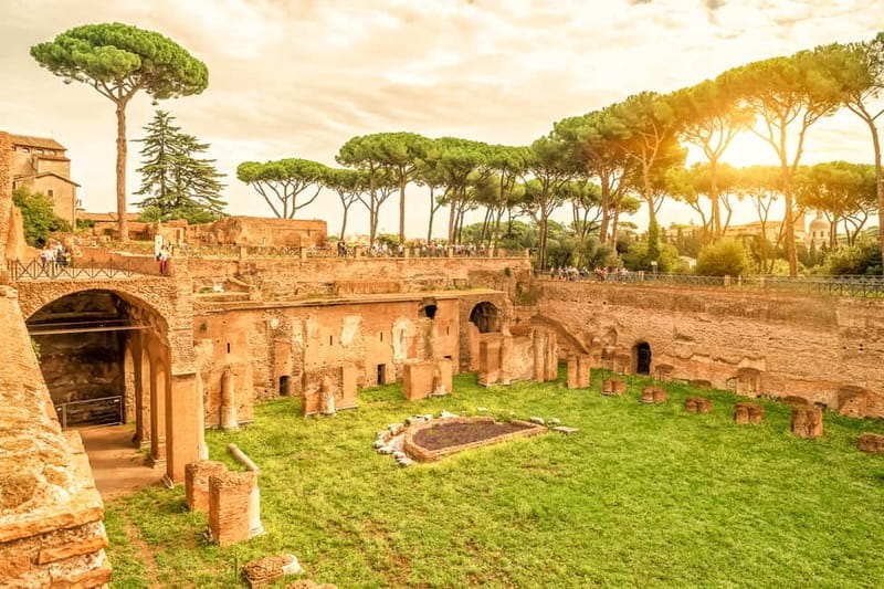 Rome: Private Ancient Colosseum and Roman Forum Tour - A Close-Up Look at Rome’s Ancient Treasures