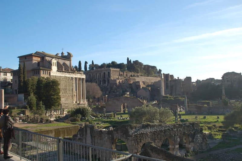 Rome: Private Ancient Colosseum and Roman Forum Tour - Why This Tour Is a Good Deal