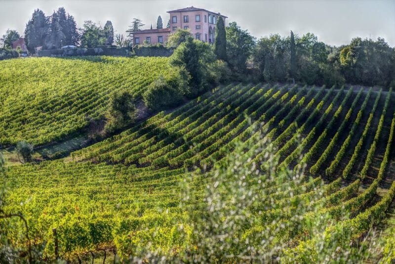 Rome: Private Tour to San Gimignano, Siena & Winery Visit - FAQ