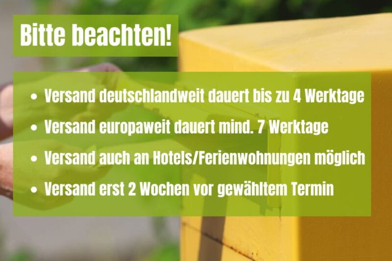 Rome: Scavenger Hunt Self-Guided Tour - Who Will Love This?