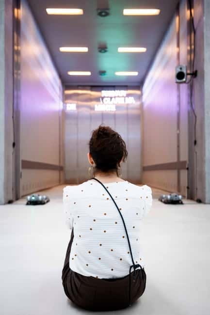 Rome: Skip the Line ticket to Museum MAXXI - Discovering MAXXI: Modern Art and Iconic Architecture in Rome