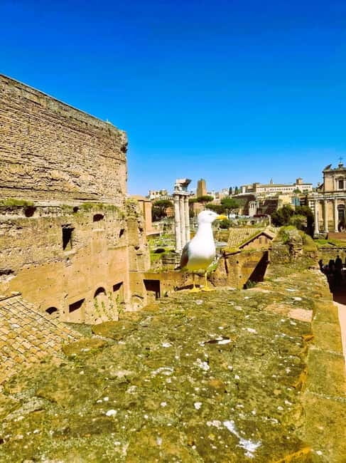 Rome: Small-Group Colosseum, Roman Forum & Palatine Hill - Logistics, Price, and Practical Tips