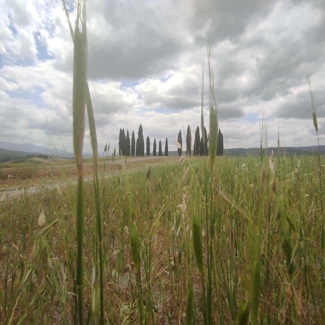 Rome to Tuscany (Florence) Private Transfer and Tour - How the Tour Works: From Rome to Tuscany with a Personal Touch