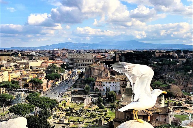 Rome Top Sites in 1 Day WOW Tour: Luxury Car, Tickets & Lunch - Private Transportation