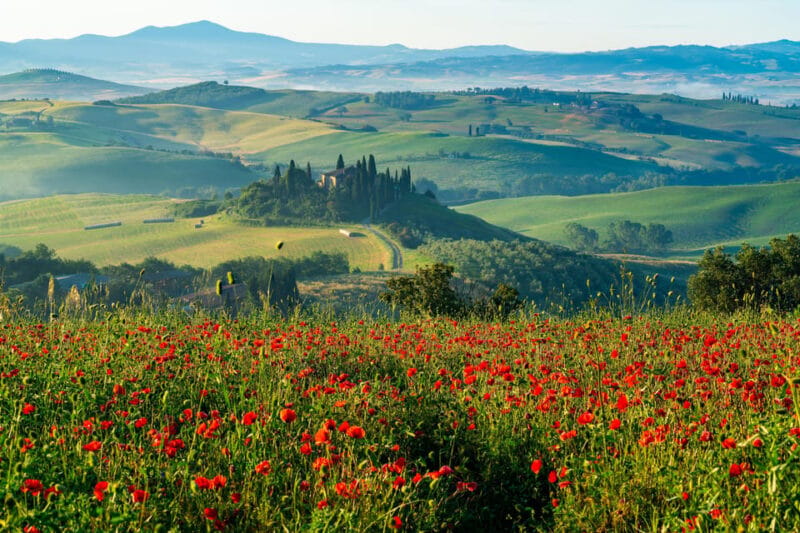 Rome: Tuscany & Montepulciano Day Trip with Lunch & Wines - FAQs