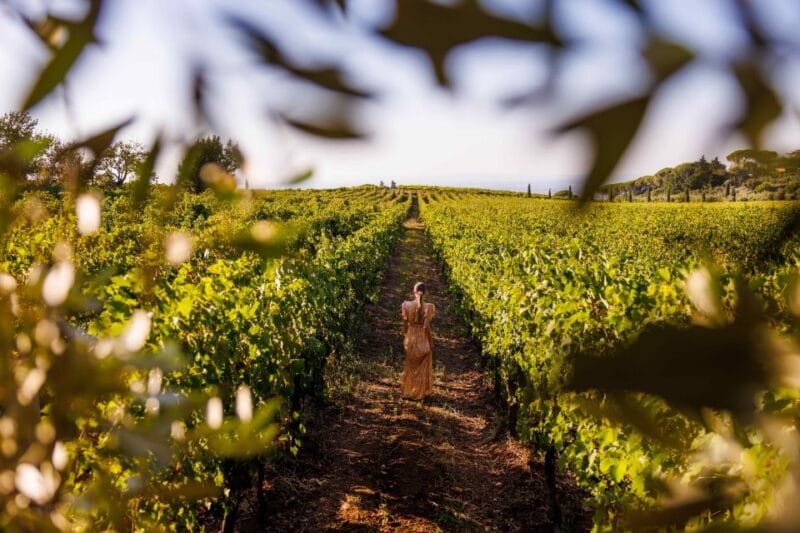 Rome: Wine Tasting and Pizza Making Class at a Vineyard - Who Is This Tour Best Suited For?