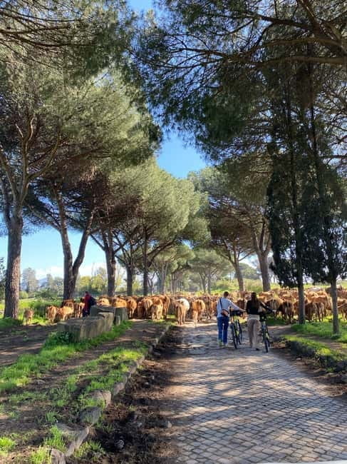 Rome:Appian Way E-bike Tour, Catacombs, Aqueducts & Transfer - Final Thoughts: A Unique Way to See Rome