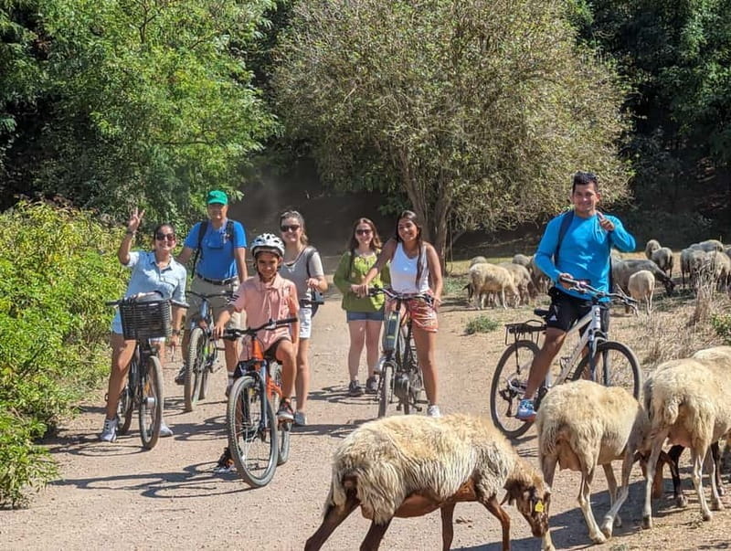 Rome:Appian Way E-bike Tour, Catacombs, Aqueducts & Transfer - FAQ
