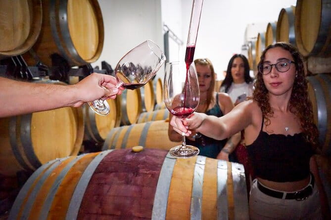 Ronda from Malaga: Top Quality Wine Tour & city exploring - Key Points / Takeaways