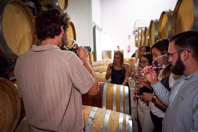 Ronda from Malaga: Top Quality Wine Tour & city exploring - Discovering Ronda and Its Wines: A Practical, Authentic Day