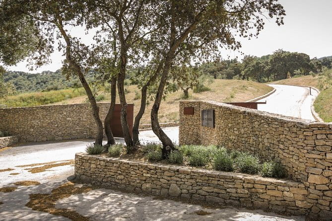 Ronda Private Full Day Wine Tour - Final Thoughts