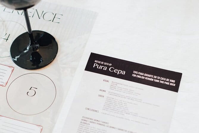 Ronda Wine Tasting Experience - Key points / Takeaways