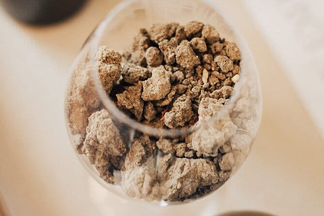 Ronda Wine Tasting Experience - Final Thoughts