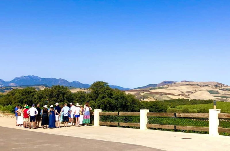 Ronda: Winery Tour with Wine Tasting and Tapas - Entering the World of Rondas Wines