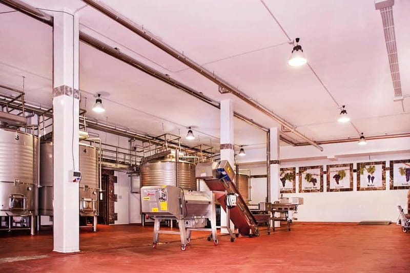 Ronda: Winery Tour with Wine Tasting and Tapas - Behind the Scenes of Winemaking