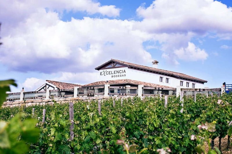 Ronda: Winery Tour with Wine Tasting and Tapas - FAQ