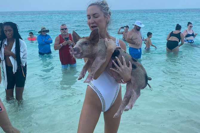 Rose Island 3 Island Luxury Private Tour(8hrs) - Start Time and Accessibility