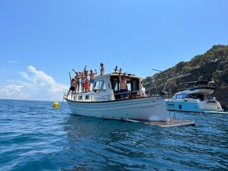 Roses boat trip Special: snorkeling in Cap de Creus - Who Should Go on This Tour?