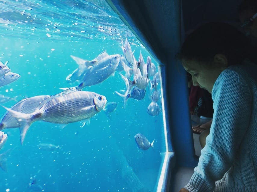 Roses: Costa Brava Catamaran Trip With Underwater Views - Nearby Attractions