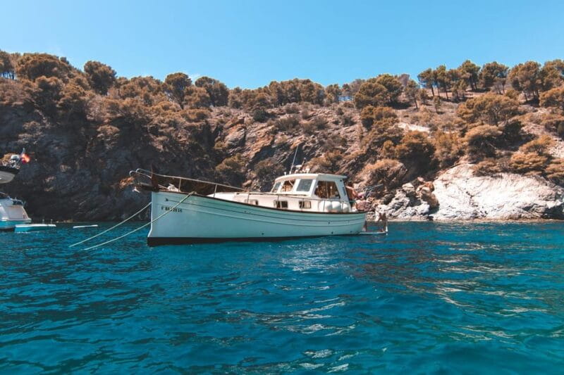 Roses: Rent the boat and live an unforgettable experience - Practical Tips to Maximize Your Experience