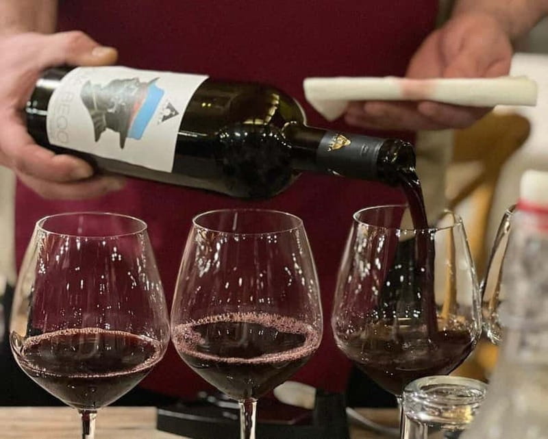 Roshnik: Wine Tasting Experience at the Agrotourism Winery - Roshnik: Wine Tasting Experience at the Agrotourism Winery