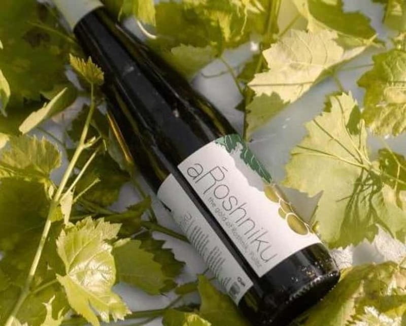 Roshnik: Wine Tasting Experience at the Agrotourism Winery - Key Points / Takeaways