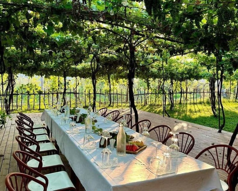 Roshnik: Wine Tasting Experience at the Agrotourism Winery - Who This Tour Suits Best