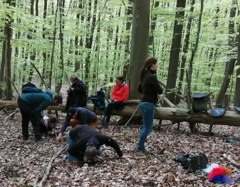 Rotenburg an der Fulda: Forest bathing with a certified guide - Key points / Takeaways