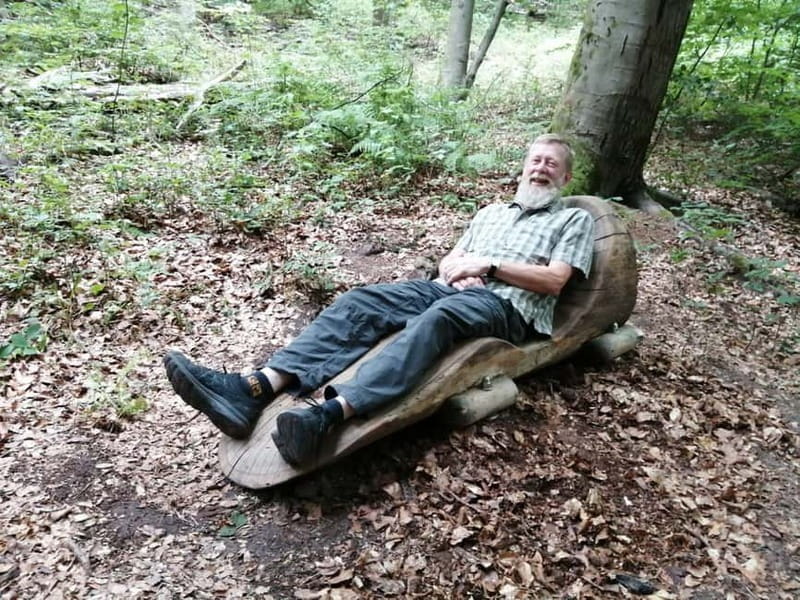 Rotenburg an der Fulda: Forest bathing with a certified guide - The Value of Guided Forest Bathing by a Certified Instructor