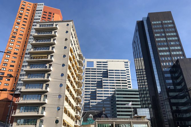 Rotterdam Architecture Highlights Walking Tour - Meeting and Pickup Details