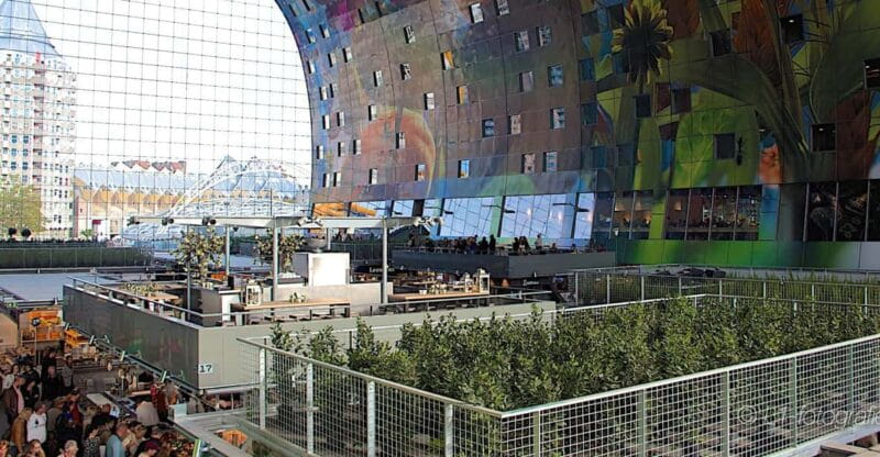 Rotterdam: City Center Walking Tour - Exploring Rotterdam’s Highlights in a Compact Walk