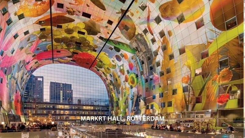 Rotterdam countryside on wheels - E-bike tour around city - Who Should Consider This Tour?