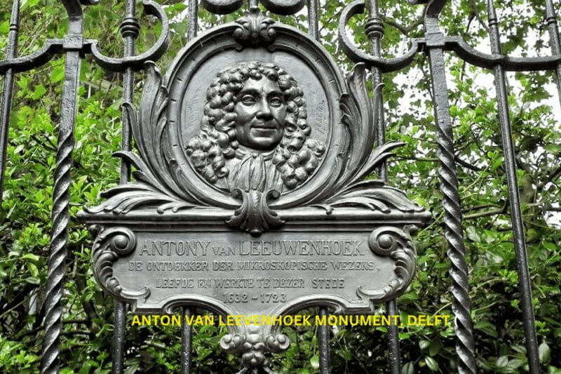 Rotterdam & Delft Daily Walking Tour - Discovering Delft’s Charm: From Pottery to Royalty