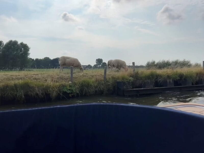 Rotterdam: green heart Midden-Delfland: Luxury Boat Tour - Practical Tips for a Smooth Experience