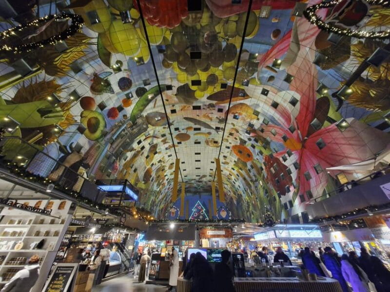 Rotterdam: Highlights & Gems Walking Tour with Dutch Local - Practical Tips for Your Tour