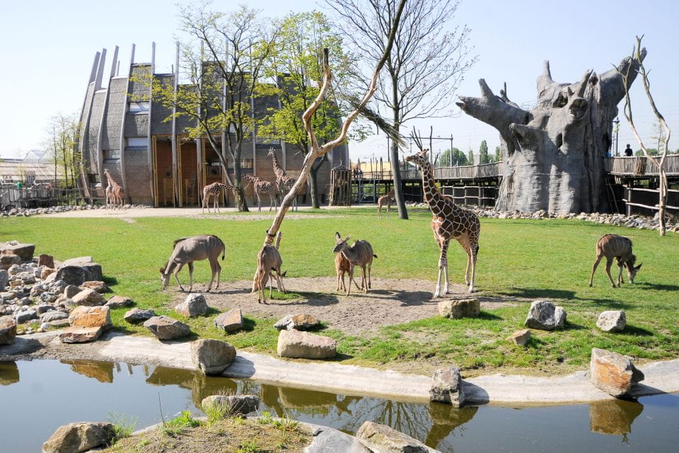 Rotterdam: Rotterdam Zoo Blijdorp Entry Ticket - Tips for the Best Experience