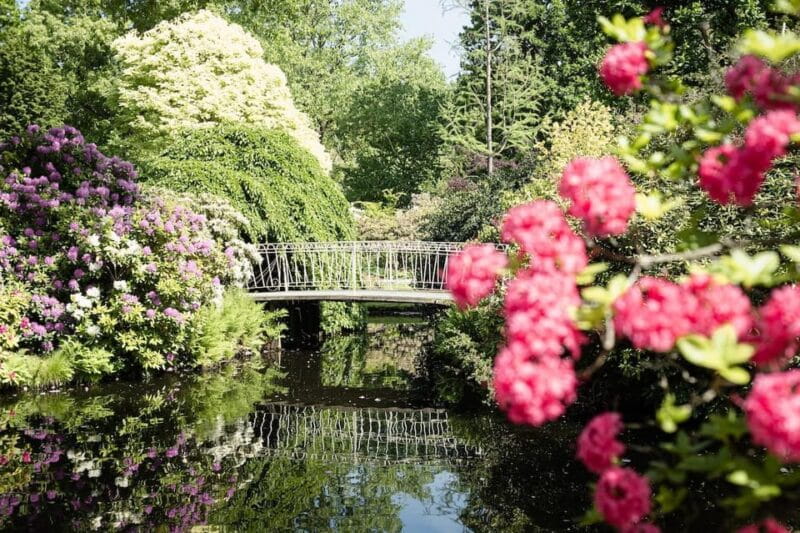 Rotterdam: Trompenburg Botanical Gardens Entry Ticket - Key points / Takeaways