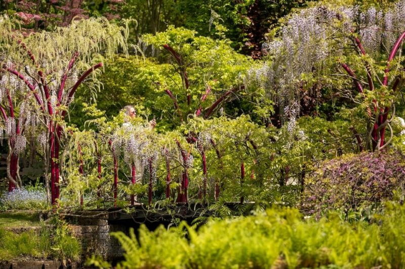 Rotterdam: Trompenburg Botanical Gardens Entry Ticket - Practicalities and Value