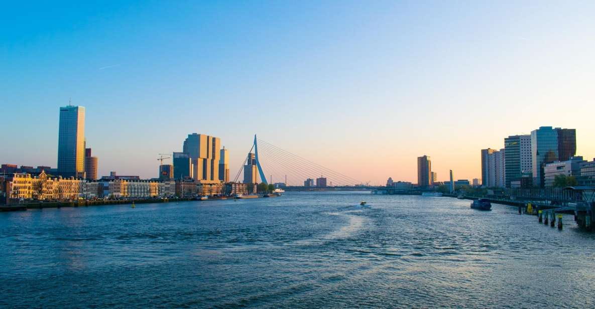 Rotterdam Walking Tour and Harbor Cruise - Booking Options