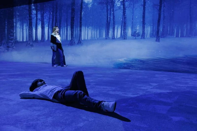 Rouen : Museum Immersive Viking Experience - Who Will Love This Experience?