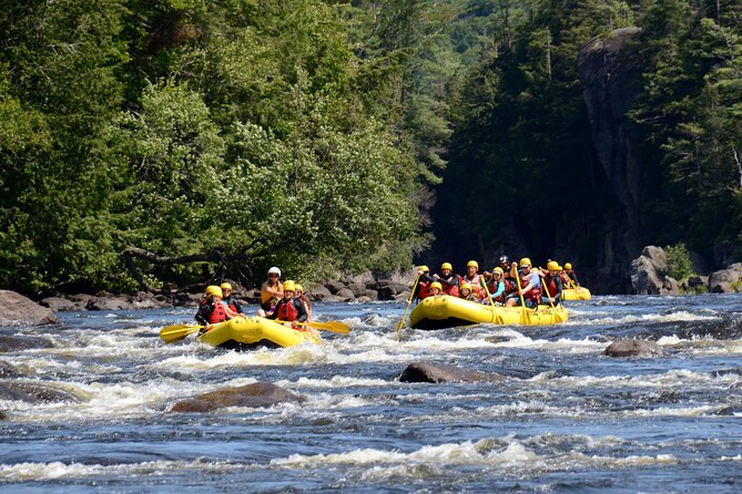 Rouge River Family Rafting Must Include a Kid (6-11 Yrs) - Riverside Picnic Lunch