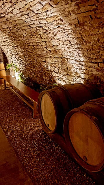 Route du Champagne: Food and wine tour - Discovering the Charm of the Route du Champagne: A Food and Wine Tour